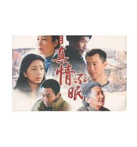 真情不眠第17集